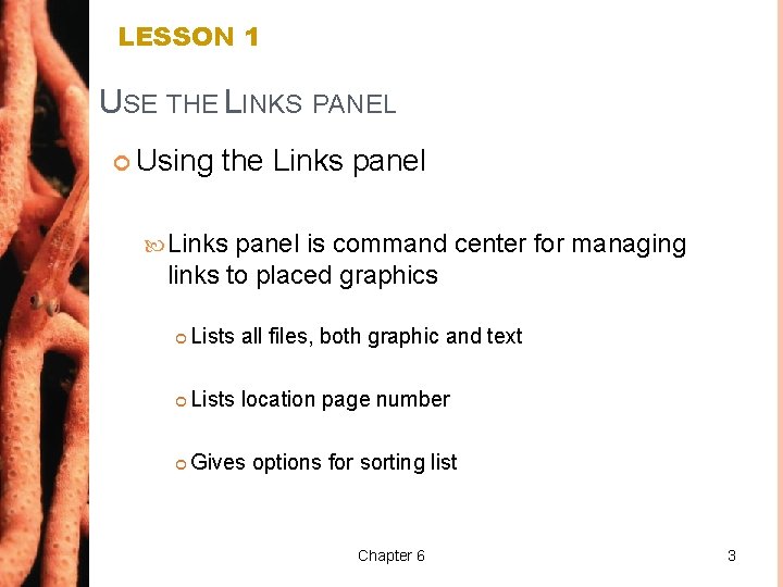 LESSON 1 USE THE LINKS PANEL Using the Links panel is command center for