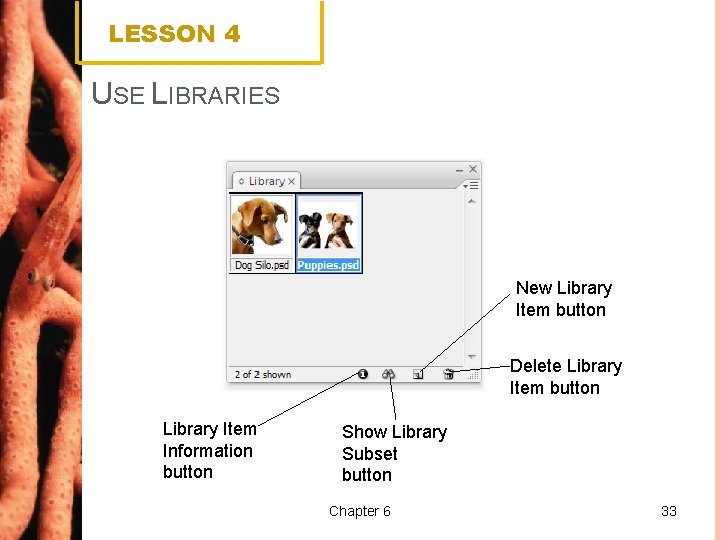 LESSON 4 USE LIBRARIES New Library Item button Delete Library Item button Library Item