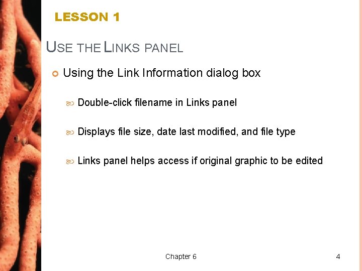 LESSON 1 USE THE LINKS PANEL Using the Link Information dialog box Double-click filename