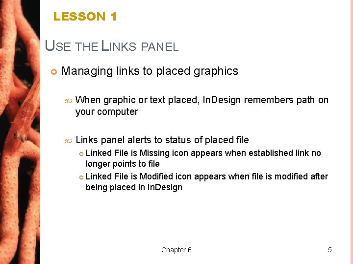 LESSON 1 USE THE LINKS PANEL Managing links to placed graphics When graphic or