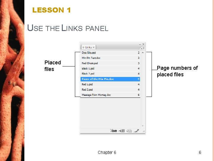 LESSON 1 USE THE LINKS PANEL Placed files Page numbers of placed files Chapter