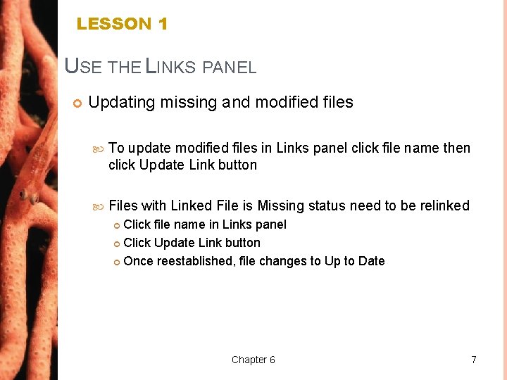 LESSON 1 USE THE LINKS PANEL Updating missing and modified files To update modified