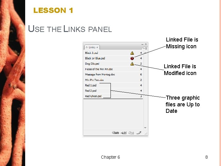 LESSON 1 USE THE LINKS PANEL Linked File is Missing icon Linked File is