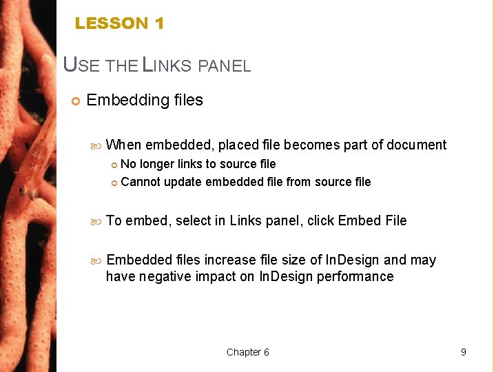 LESSON 1 USE THE LINKS PANEL Embedding files When embedded, placed file becomes part