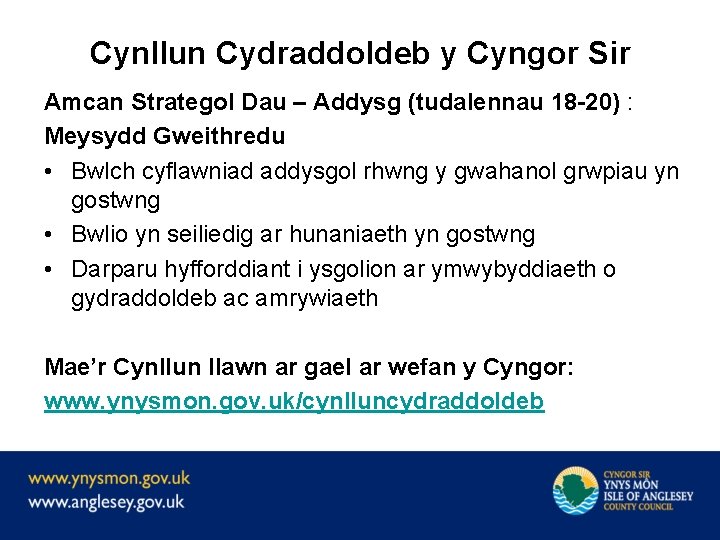 Cynllun Cydraddoldeb y Cyngor Sir Amcan Strategol Dau – Addysg (tudalennau 18 -20) :