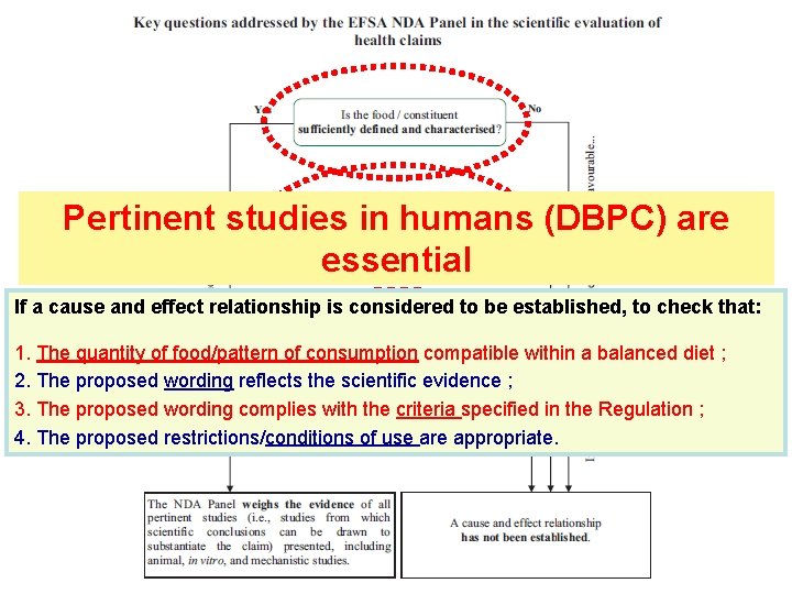 Pertinent studies in humans (DBPC) are essential If a cause and effect relationship is