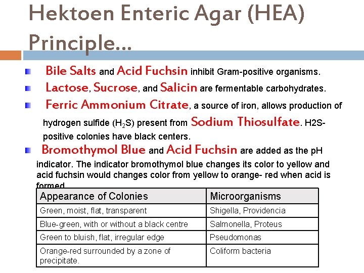 Hektoen Enteric Agar (HEA) Principle… Bile Salts and Acid Fuchsin inhibit Gram-positive organisms. Lactose,