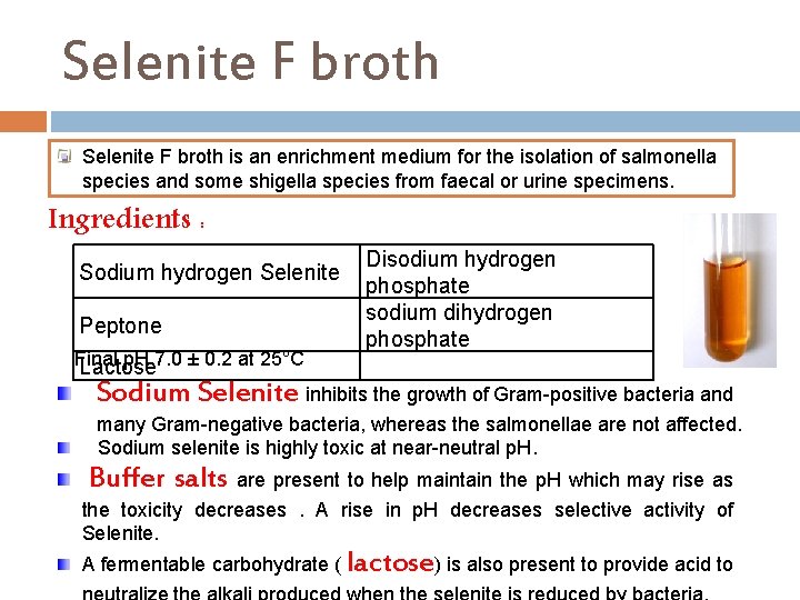 Selenite F broth is an enrichment medium for the isolation of salmonella species and