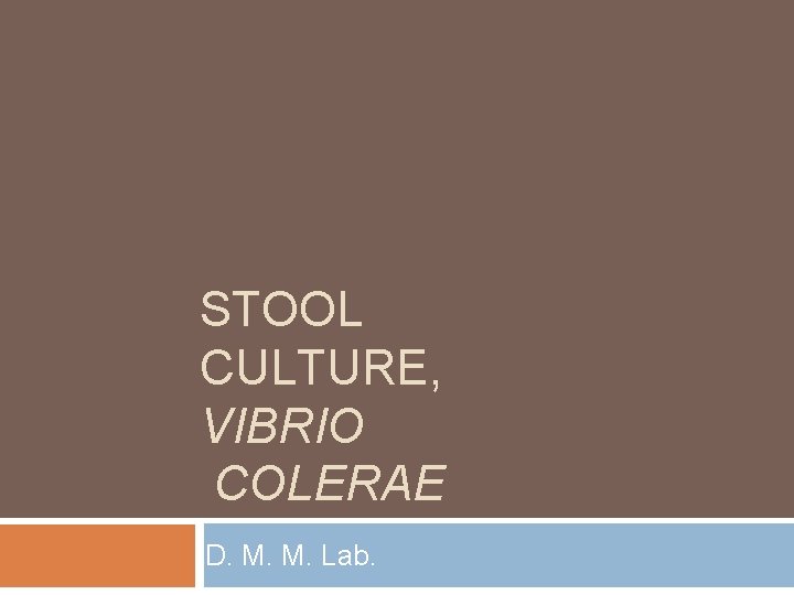 STOOL CULTURE, VIBRIO COLERAE D. M. M. Lab. 