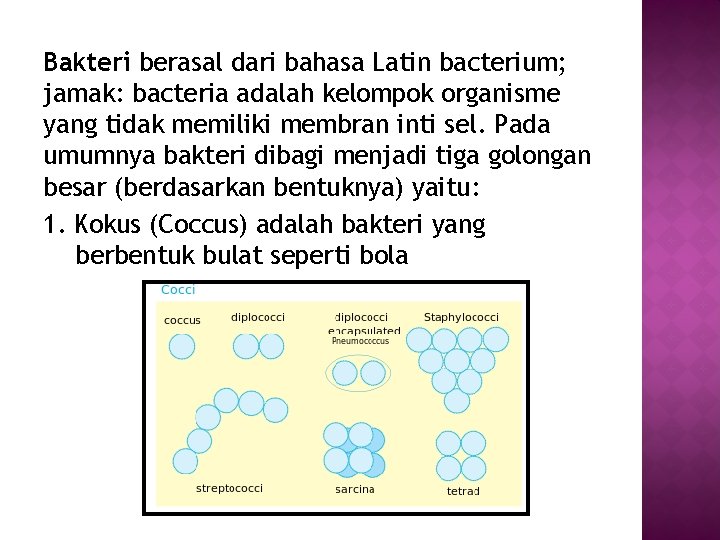Bakteri berasal dari bahasa Latin bacterium; jamak: bacteria adalah kelompok organisme yang tidak memiliki Bakteri berasal dari bahasa Latin bacterium; jamak: bacteria adalah kelompok organisme yang tidak memiliki