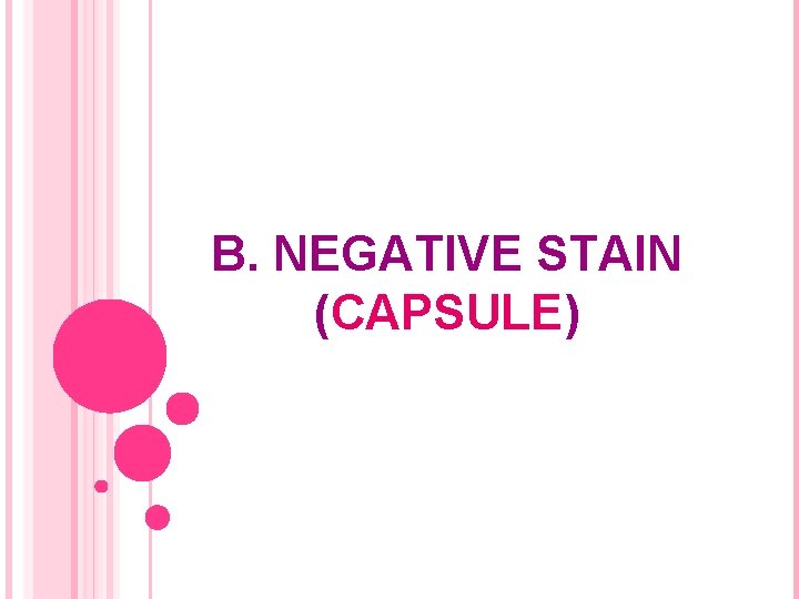 B. NEGATIVE STAIN (CAPSULE) 