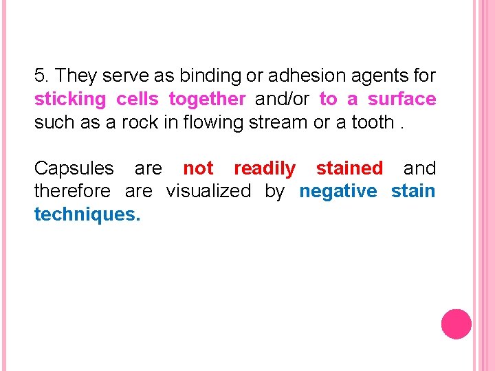 5. They serve as binding or adhesion agents for sticking cells together and/or to