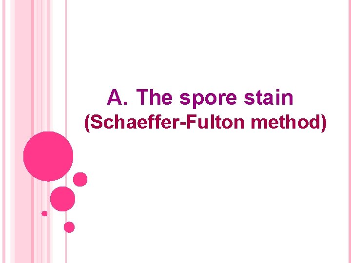 A. The spore stain (Schaeffer-Fulton method) 