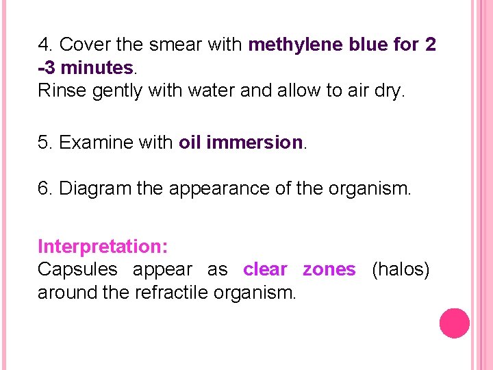 4. Cover the smear with methylene blue for 2 -3 minutes. Rinse gently with