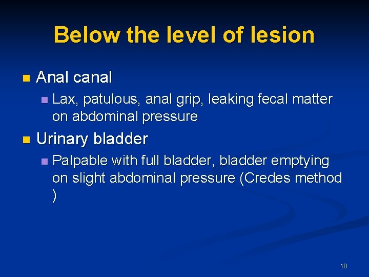 Below the level of lesion n Anal canal n n Lax, patulous, anal grip,