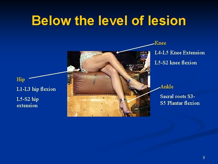 Below the level of lesion Knee L 4 -L 5 Knee Extension L 5