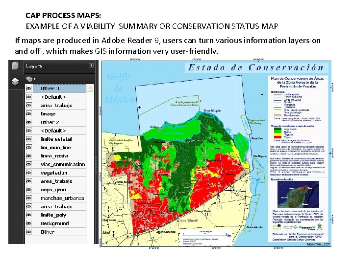 CAP PROCESS MAPS: EXAMPLE OF A VIABILITY SUMMARY OR CONSERVATION STATUS MAP If maps