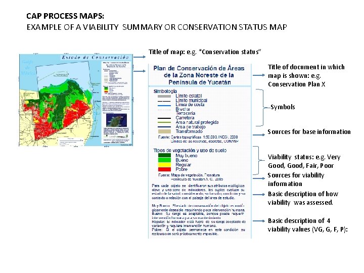CAP PROCESS MAPS: EXAMPLE OF A VIABILITY SUMMARY OR CONSERVATION STATUS MAP Title of