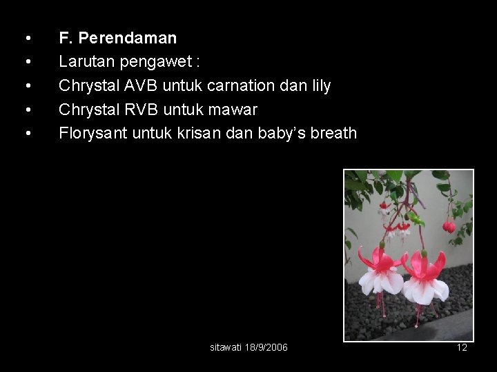  • • • F. Perendaman Larutan pengawet : Chrystal AVB untuk carnation dan