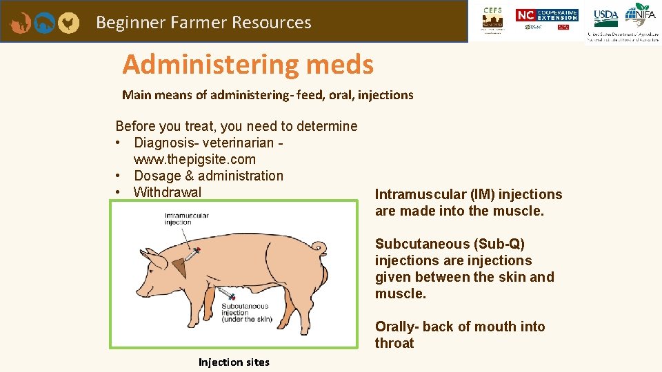 Beginner Farmer Resources Administering meds Main means of administering- feed, oral, injections Before you