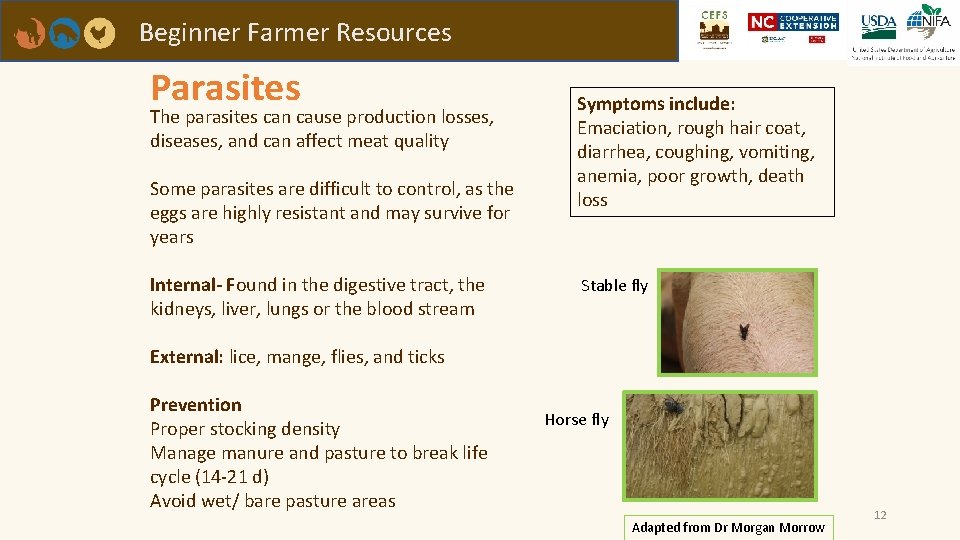 Beginner Farmer Resources Parasites The parasites can cause production losses, diseases, and can affect