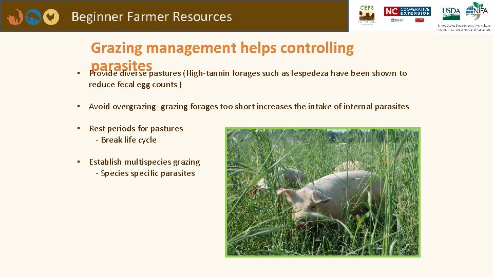 Beginner Farmer Resources ▪ Grazing management helps controlling parasites Provide diverse pastures (High-tannin forages