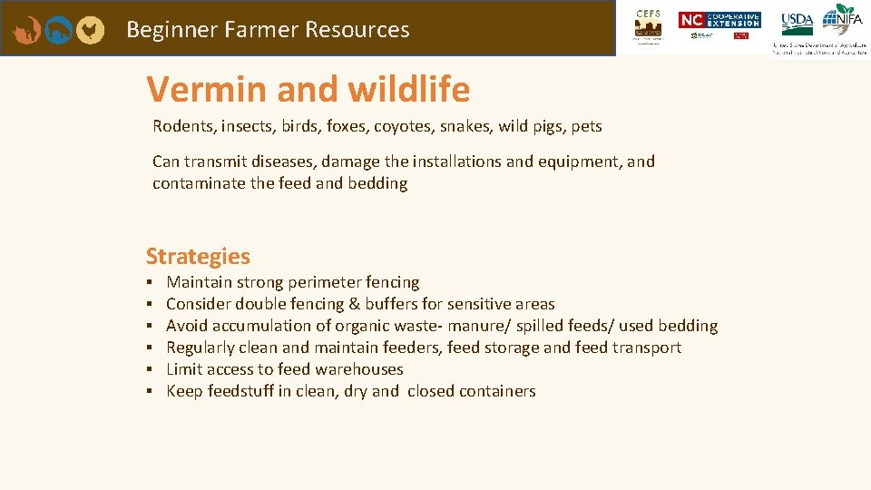 Beginner Farmer Resources Vermin and wildlife Rodents, insects, birds, foxes, coyotes, snakes, wild pigs,