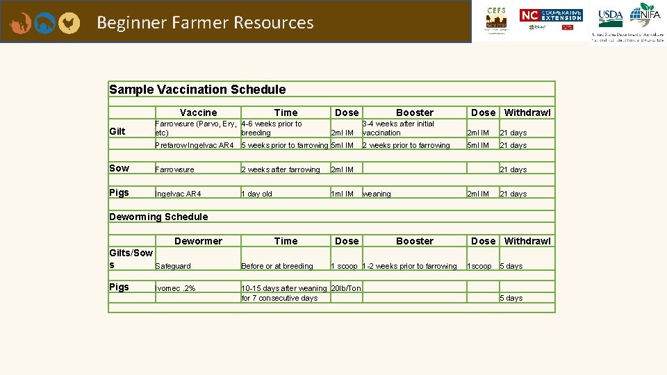 Beginner Farmer Resources Sample Vaccination Schedule Gilt Vaccine Time Farrowsure (Parvo, Ery, 4 -6