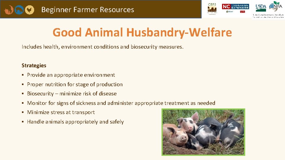 Beginner Farmer Resources Good Animal Husbandry-Welfare Includes health, environment conditions and biosecurity measures. Strategies