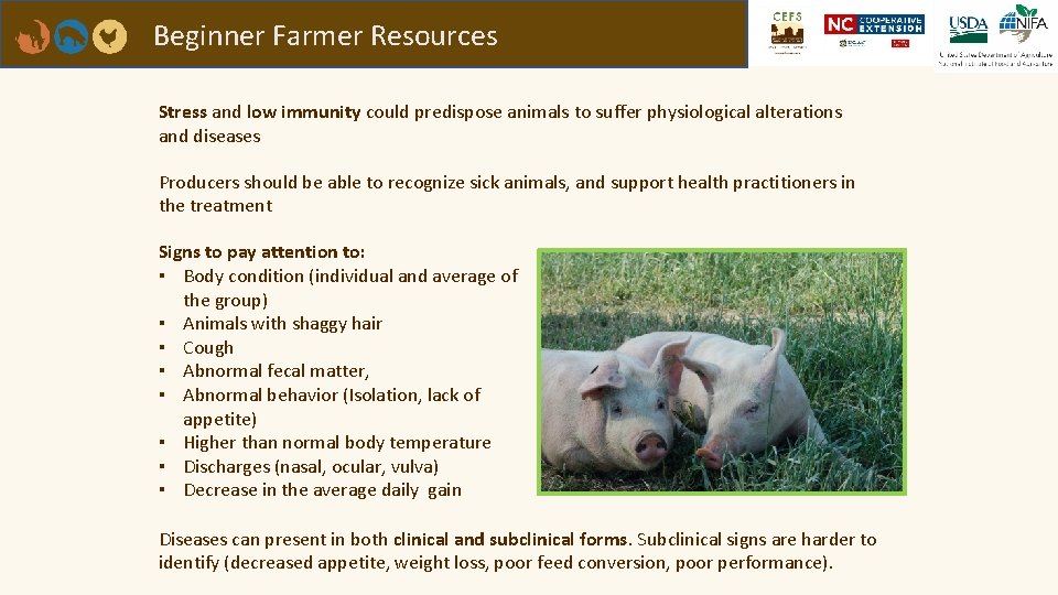 Beginner Farmer Resources Stress and low immunity could predispose animals to suffer physiological alterations