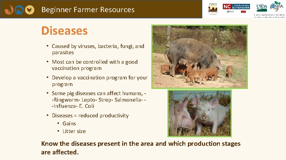 Beginner Farmer Resources Diseases • Caused by viruses, bacteria, fungi, and parasites • Most