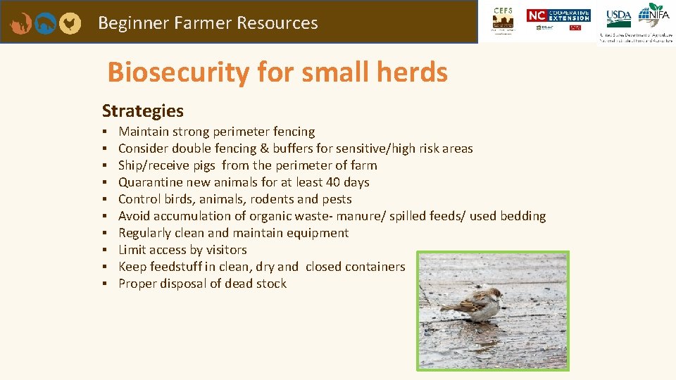 Beginner Farmer Resources Biosecurity for small herds Strategies ▪ ▪ ▪ ▪ ▪ Maintain