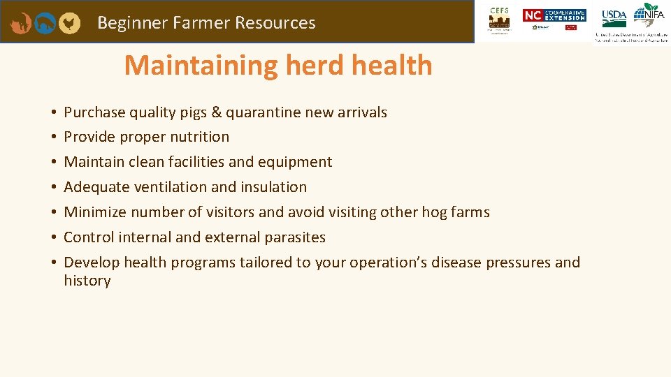 Beginner Farmer Resources Maintaining herd health • • Purchase quality pigs & quarantine new