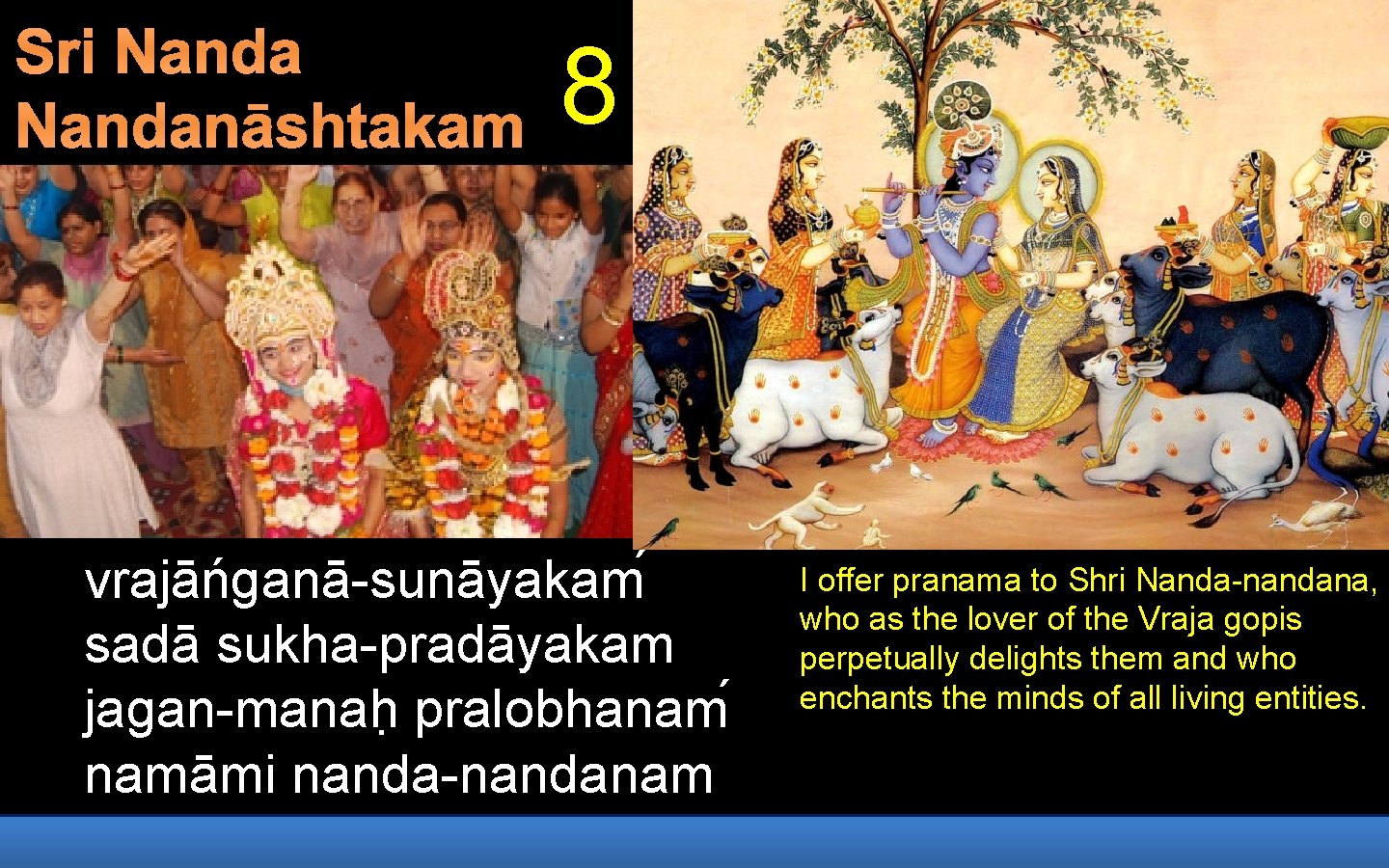 Sri Nandanāshtakam 8 vrajāńganā-sunāyakam sadā sukha-pradāyakam jagan-manah pralobhanam namāmi nanda-nandanam I offer pranama to