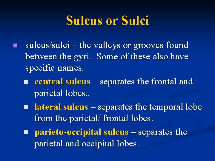 Sulcus or Sulci n sulcus/sulci – the valleys or grooves found between the gyri.