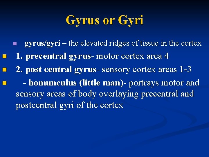 Gyrus or Gyri n n gyrus/gyri – the elevated ridges of tissue in the
