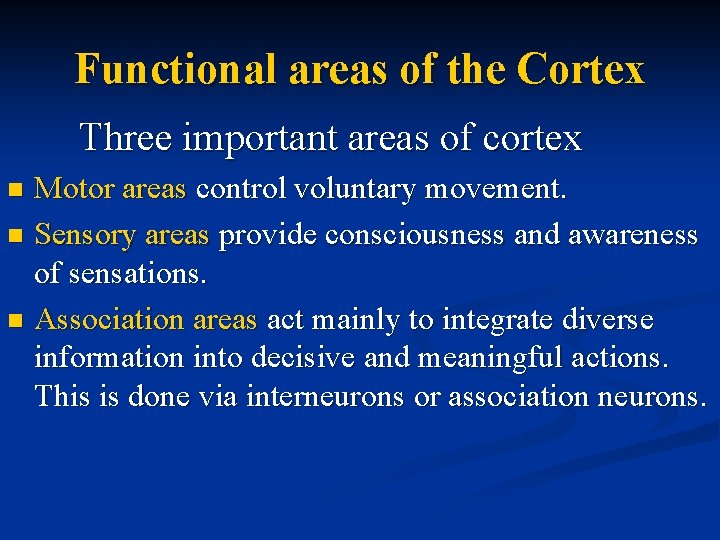 Functional areas of the Cortex Three important areas of cortex Motor areas control voluntary