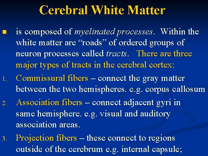 Cerebral White Matter n 1. 2. 3. is composed of myelinated processes. Within the