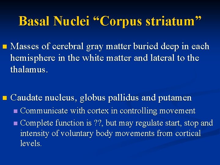 Basal Nuclei “Corpus striatum” n Masses of cerebral gray matter buried deep in each