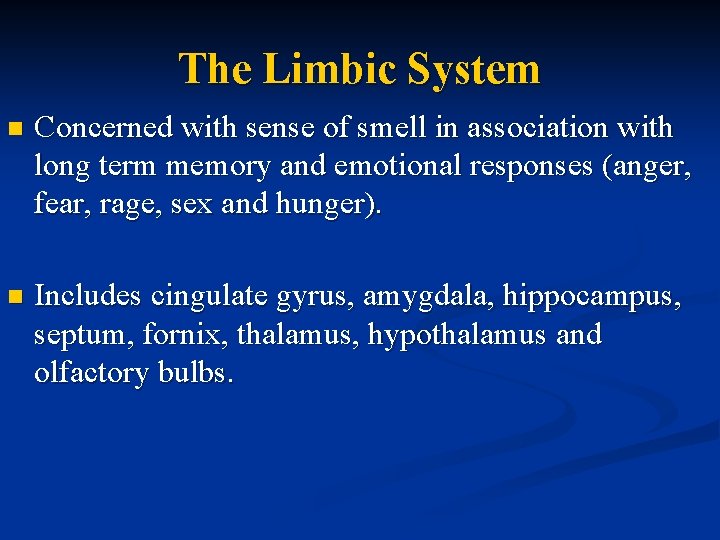 The Limbic System n Concerned with sense of smell in association with long term