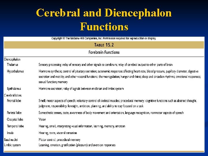 Cerebral and Diencephalon Functions 