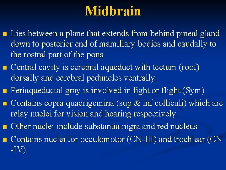 Midbrain n n n Lies between a plane that extends from behind pineal gland