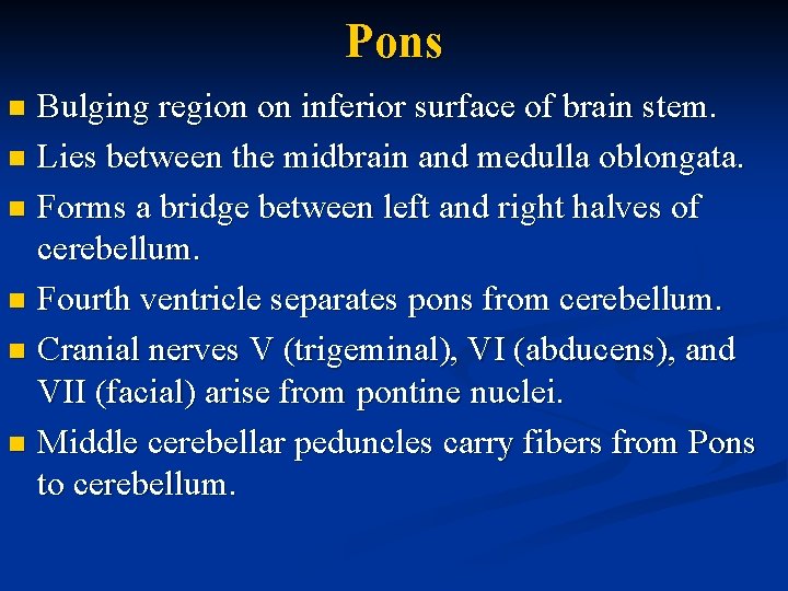 Pons Bulging region on inferior surface of brain stem. n Lies between the midbrain