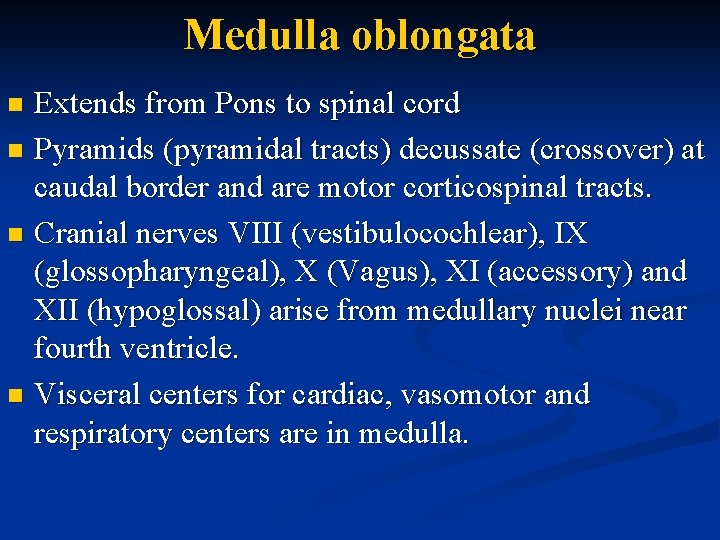 Medulla oblongata Extends from Pons to spinal cord n Pyramids (pyramidal tracts) decussate (crossover)