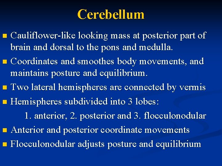Cerebellum Cauliflower-like looking mass at posterior part of brain and dorsal to the pons