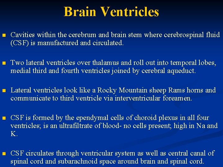 Brain Ventricles n Cavities within the cerebrum and brain stem where cerebrospinal fluid (CSF)