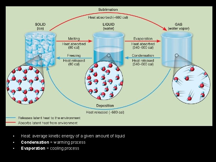  • • • Heat: average kinetic energy of a given amount of liquid