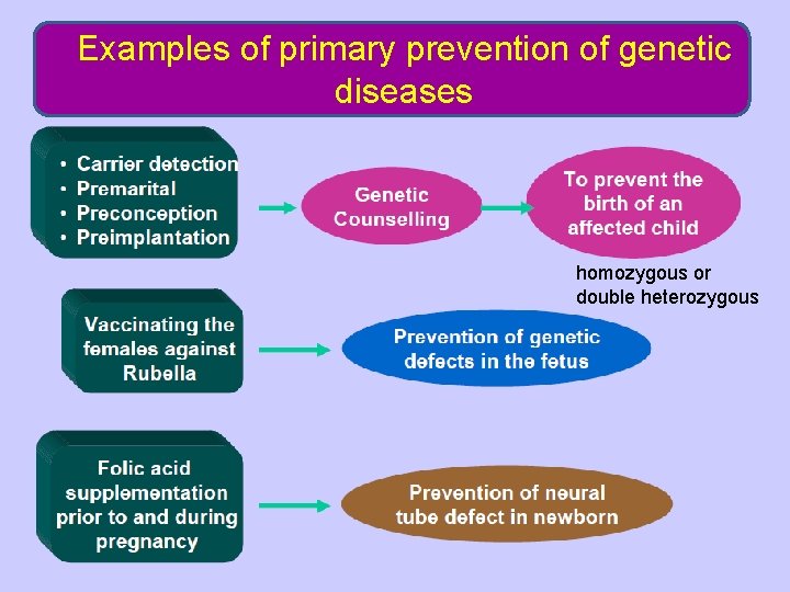 Examples of primary prevention of genetic diseases homozygous or double heterozygous 