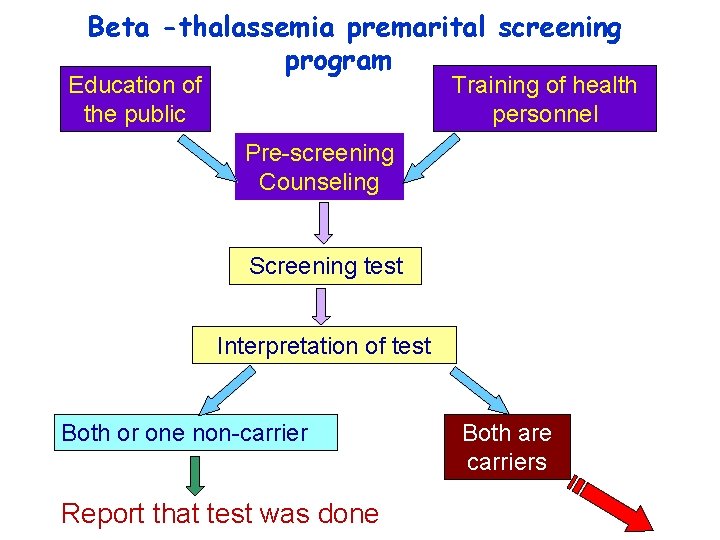 Beta -thalassemia premarital screening program Training of health personnel Education of the public Pre-screening