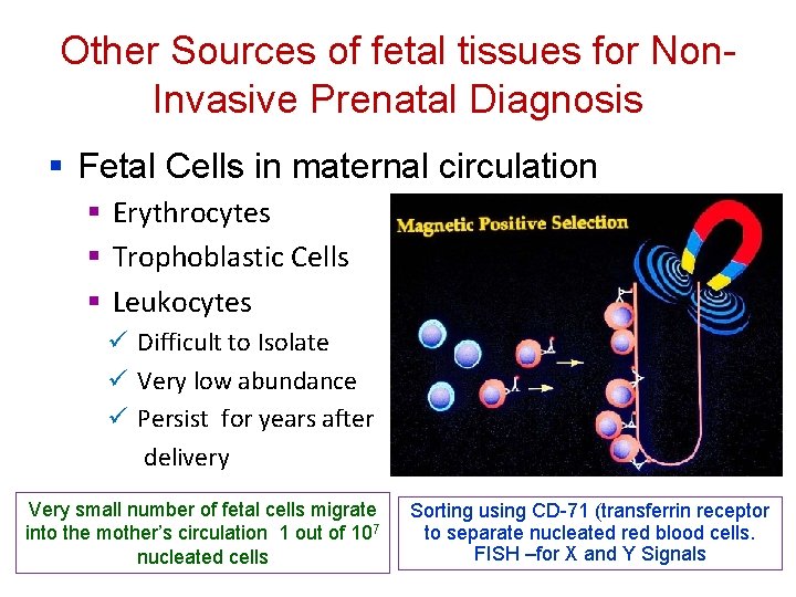 Other Sources of fetal tissues for Non. Invasive Prenatal Diagnosis § Fetal Cells in